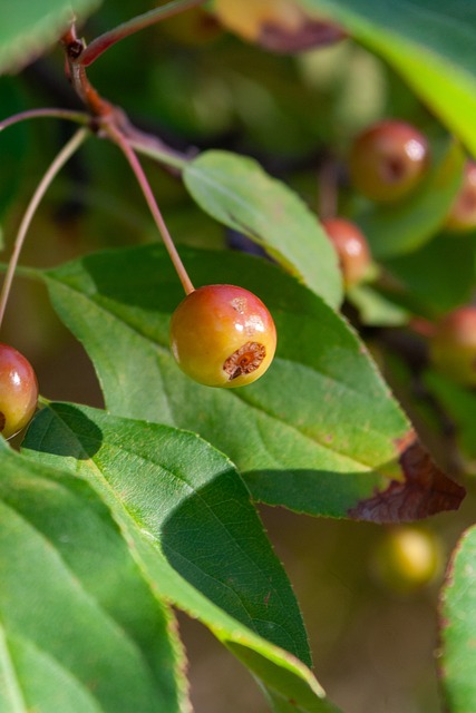 亨利：枪迷当然不希望曼城紧追不舍，他们太知道怎么赢球了